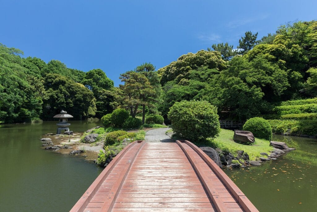 Wooden footbridge crossing a pond in Shinjuku Gyoen National Garden on a sunny June afternoon