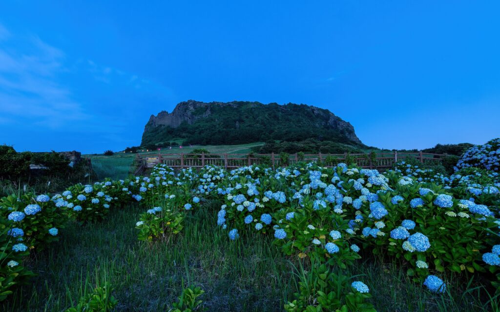Seongsan Ilchulbong volcanic cone, Jeju Island